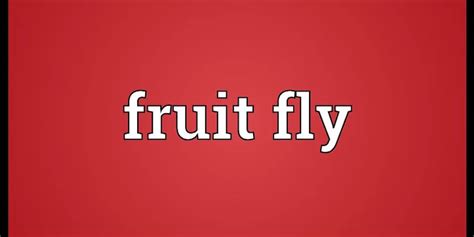 frutlu|Nghĩa của từ Fruitful .
